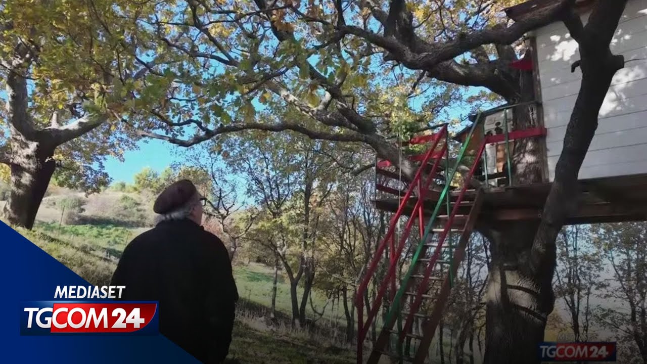 Famiglia del bosco, altri vivono sugli alberi