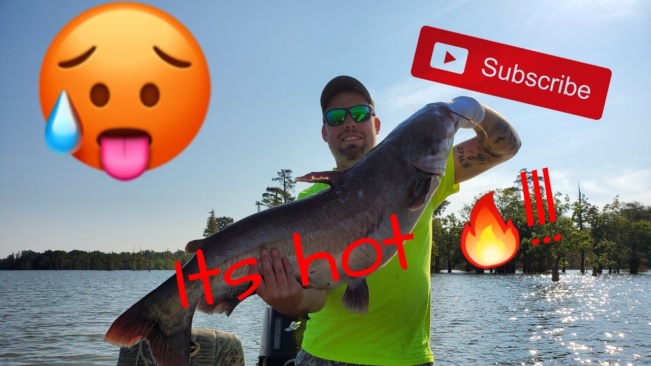 Catfishing in HOT weather YouTube