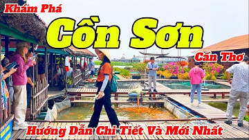 Khám Phá Cồn Sơn 2025 | Điểm Du Lịch Độc Đáo Tại Cần Thơ | Hướng Dẫn Chi Tiết Và Mới Nhất
