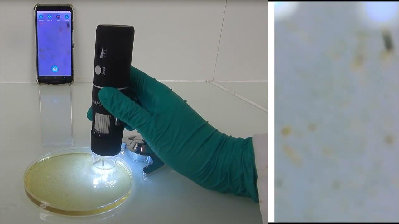 Présentation WiFi Digital Microscope YouTube