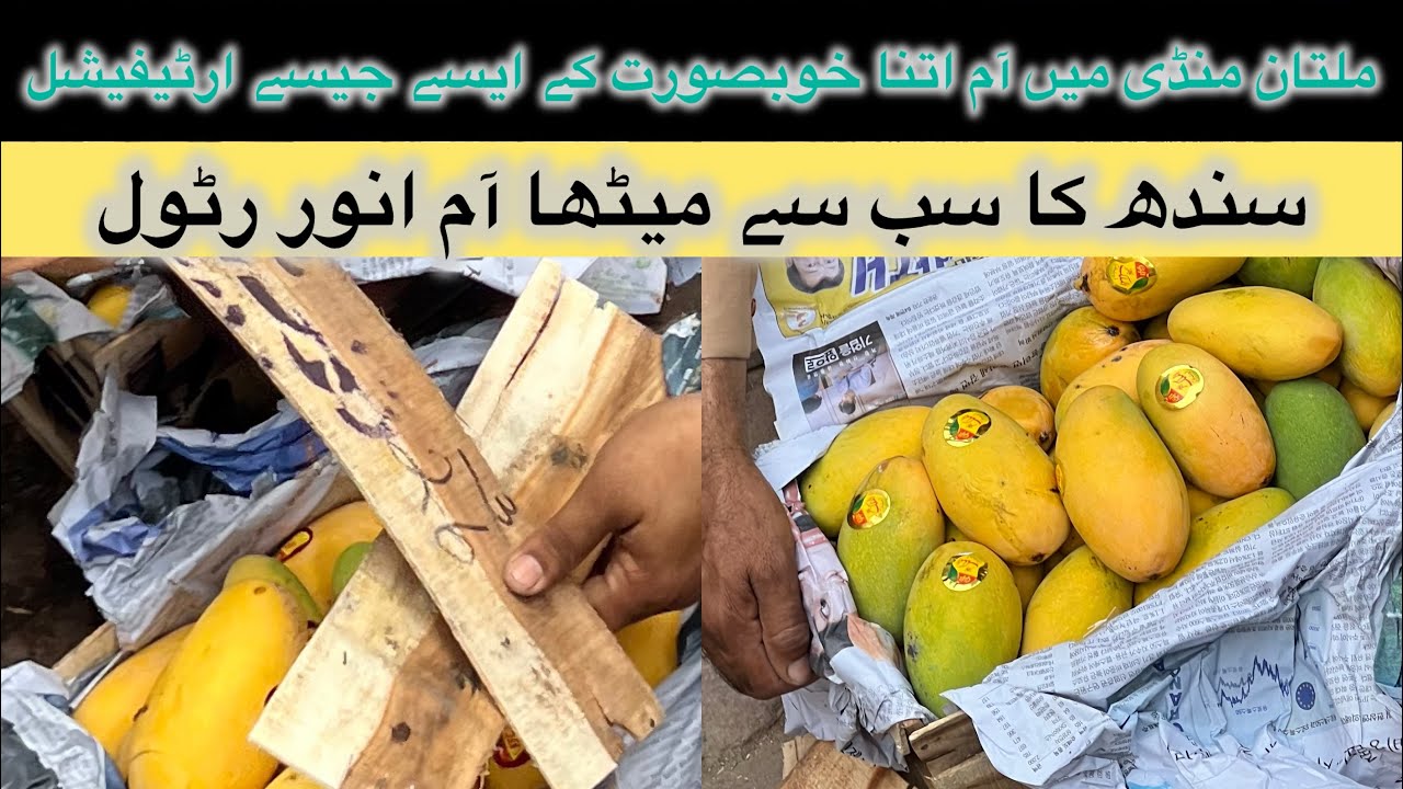 Most expensive mangoes of sindh | anwar ratool itna mehnga 🥭 - YouTube