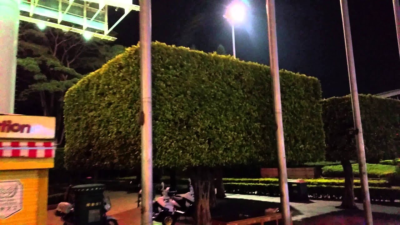 Square Trees at Window of the World - YouTube
