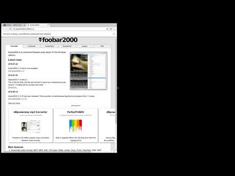 run webdriverio test in chromedriver