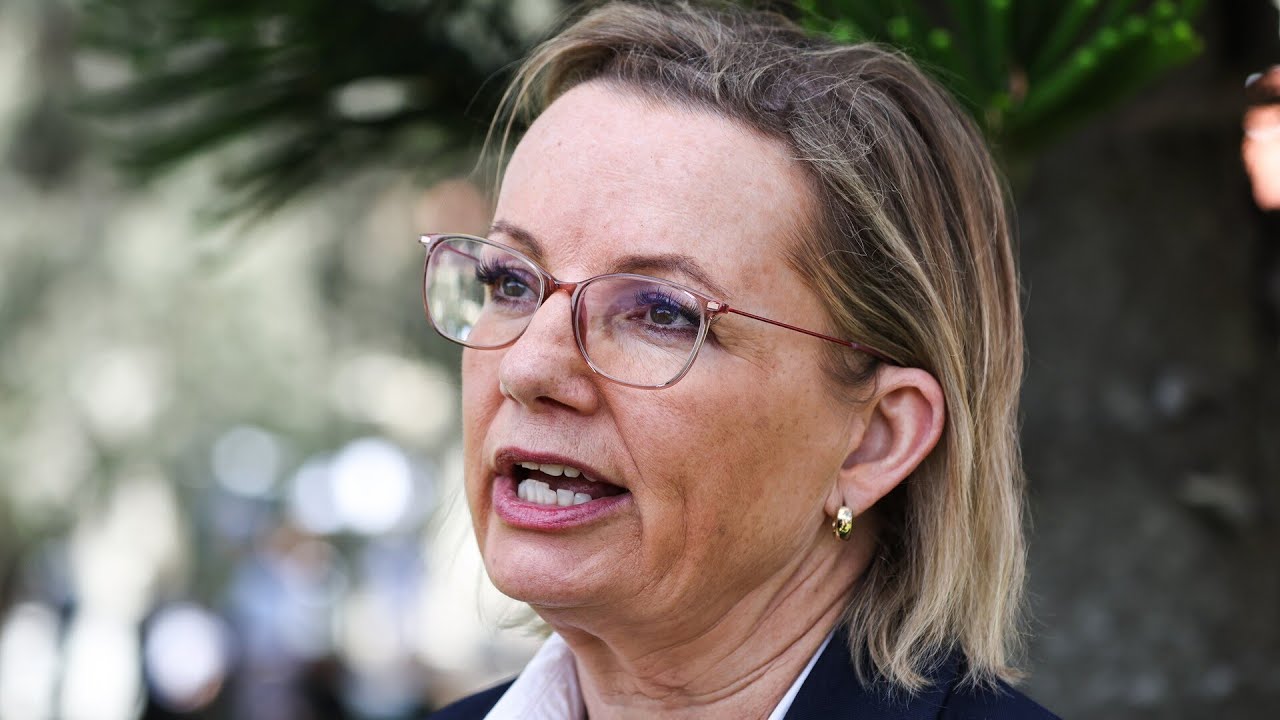 ‘Sussan Ley is finished’: Future of Coalition leadership in question