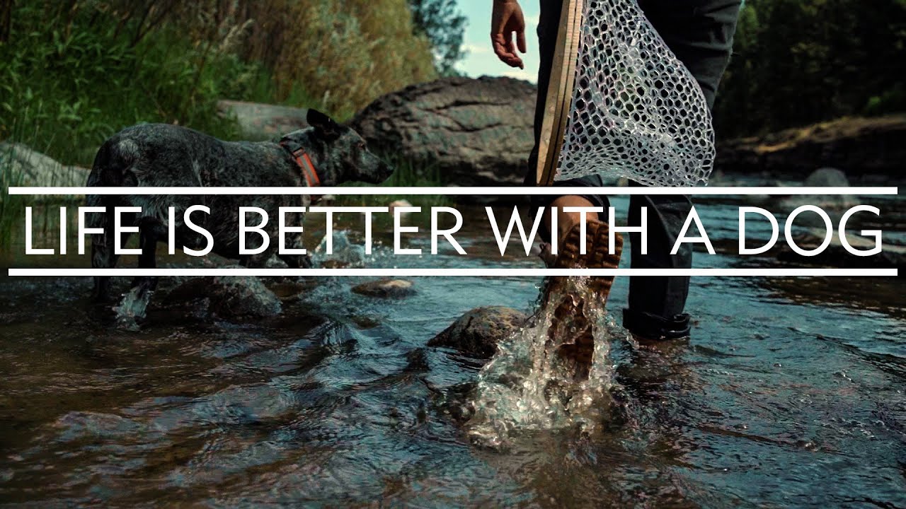 LIFE IS BETTER WITH A DOG: Flyfishing with Kayla Lockhart and Juniper