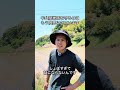 中山間地域が限界です