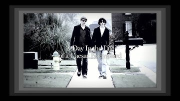 Meta Cognition (Part 2)