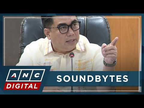 WATCH: NBI chief Matibag details findings into Jaime T. Cruz, VP Duterte business interests | ANC