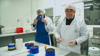The secret of good caviar by Food Story 1,927 views 10 days ago 11 minutes, 1 second
