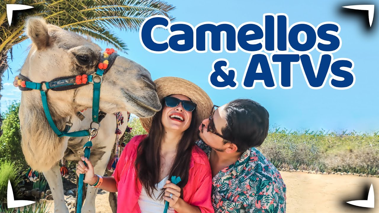 Tour Camellos y ATVS LOS CABOS 🔴 Tours en los Cabos ✅ que incluye ► Sin Postal