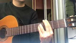 Gitar Feridun Düzağaç - Alev Alev