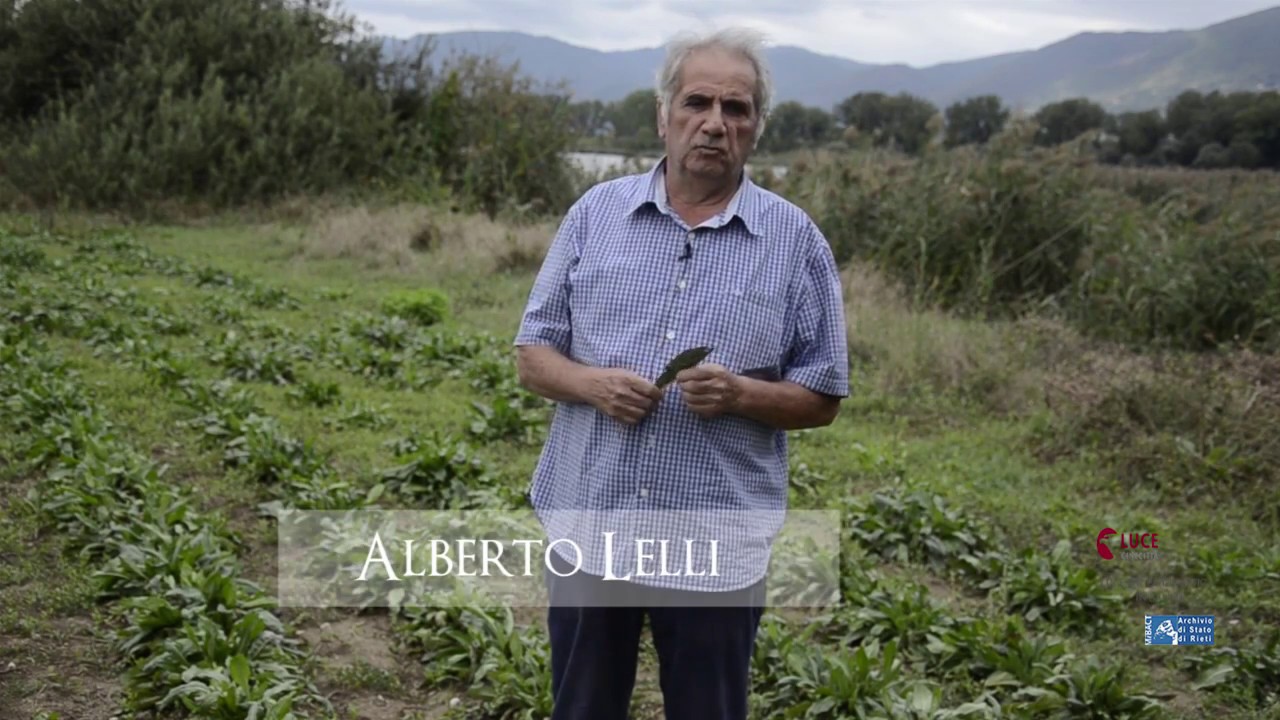 Il patrimonio culturale e naturale a Rieti - Il guado, l'indaco della Piana Reatina