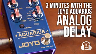 JOYO AQUARIUS ANALOG DELAY