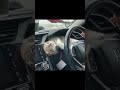 Funny Cat Videos - A Cat That Flatters Its Owner | Cat And Video #Shorts
