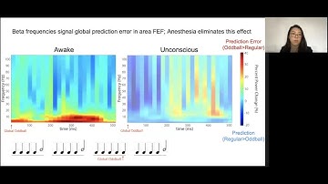 PREDICTIVE PROCESSING IN AUDITORY CORTEX WITHOUT CONSCIOUSNESS