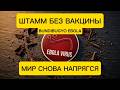 Эбола вернулась: новый штамм без вакцины уже распространяется | Bundibugyo Ebola