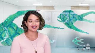 Discover JCU's Master of Data Science