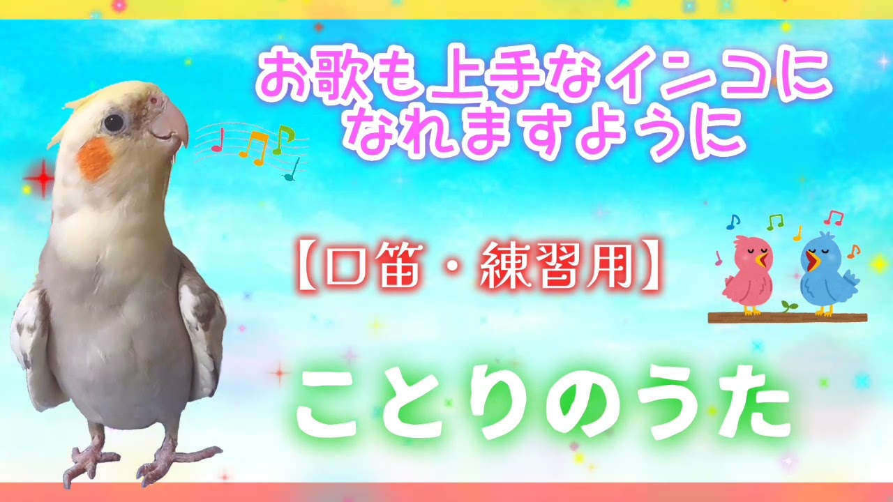 オカメインコ 覚え やすい 歌