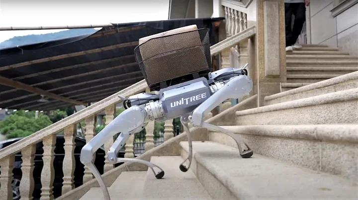 This Robot Dog Can Carry a PERSON and Flip Like a Ninja! Meet UNITREE A2 Stellar Robot