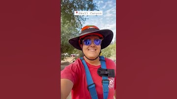 A day as a zipline tour guide!