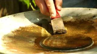 Lawn Care & Design : How to Clean a Birdbath
