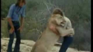 Christian the Lion - from cub to reunion, set to music &amp; auroras