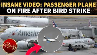 American Airlines Flight ROCKED By Bird Strike As Flames Shoot From Engine | INSANE VIDEO