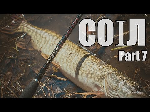 COIЛ. Part 7. "Платник"