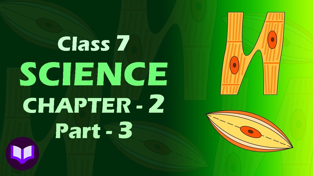 ৭ম শ্রেণির বিজ্ঞান | অধ্যায় ২ | উদ্ভিদ ও প্রাণীর কোষীয় সংগঠন | Part 3 | Class 7 Science Chapter 2.