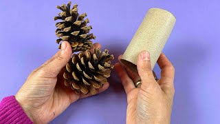 Look What I Made With 2 Pine Cones And 1 Toilet Paper Roll!