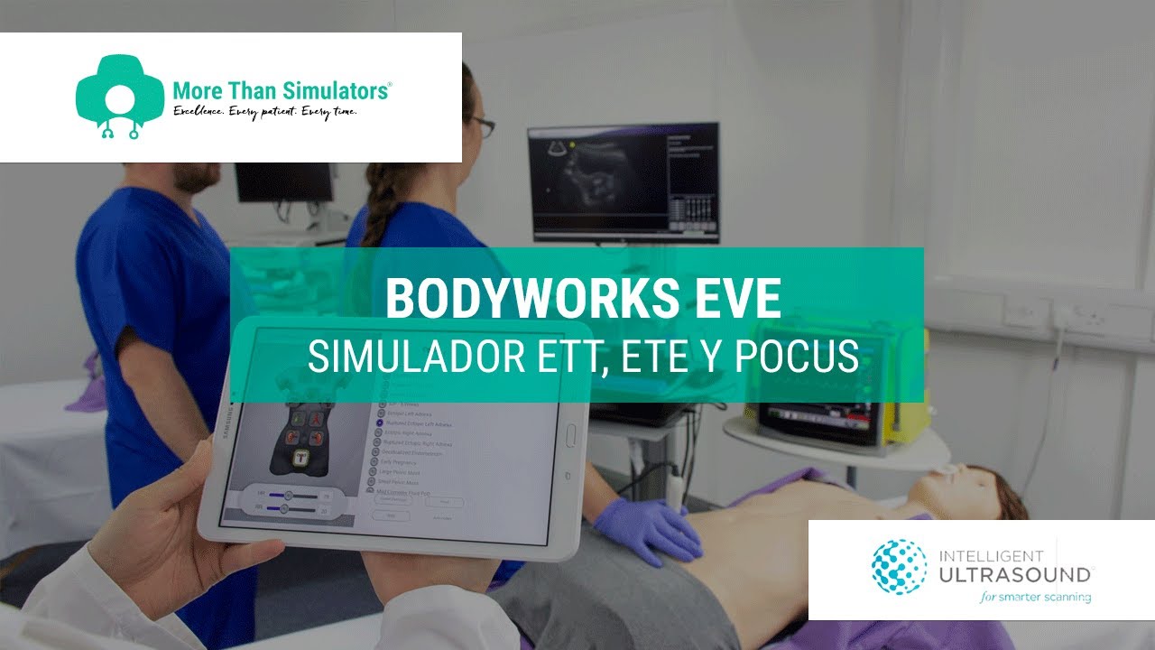BodyWorks Eve - Ecografía y Formación en Point of Care Ultrasound (POCUS)