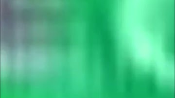 (REUPLOAD) New ZooPals 2 In Circle Major Joey’s GoNoodle Get Moving Style