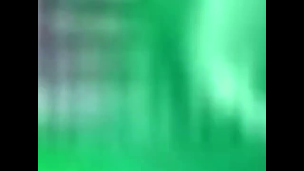 (REUPLOAD) New ZooPals 2 In Circle Major Joey’s GoNoodle Get Moving Style