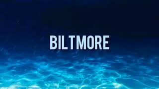 Biltmore, Whissell - Feel Something Good (Lyrics)