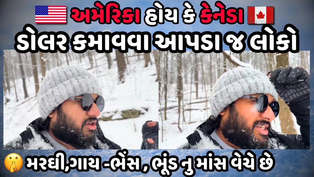 Student Loan કાઢવા માટે આટલું હલકું કામ પણ સ્વીકારી લે છે, વગર વિચારે | The Honest Gujju