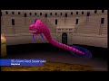 End of video
