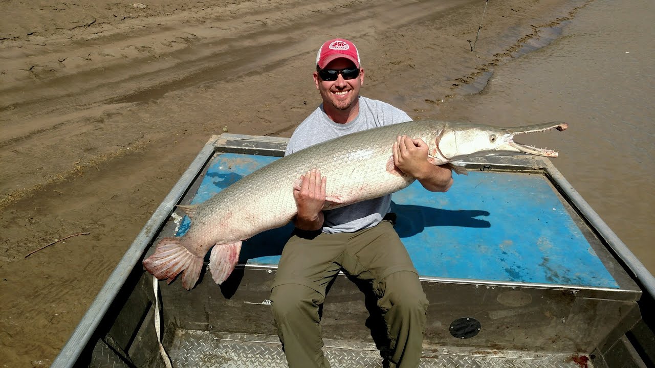 Alligator Gar fishing in Texas with Kirk Kirkland YouTube