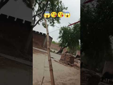 hello doston dekh sakte ho itna jor se aani aaya hai hamare gaon mein 😱😱😱😱😱😱😱