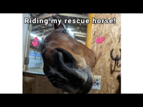 Riding my new rescue horse! - YouTube