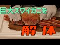 【巨大ズワイガニ解体‼︎】冷凍ズワイガニの手足を取る！　【番外編】