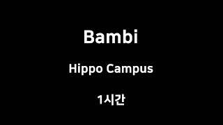 Bambi Hippo Campus 1시간 1hour