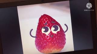 Destroying The Doodle Land Dvd