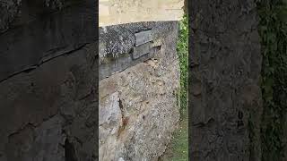  descendre L'escalier de 0 a 100 a Nogent le Rotrou   2026  