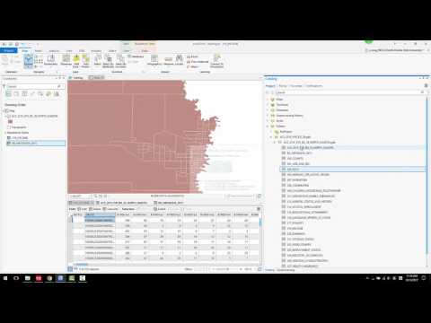 get block group demographic data
