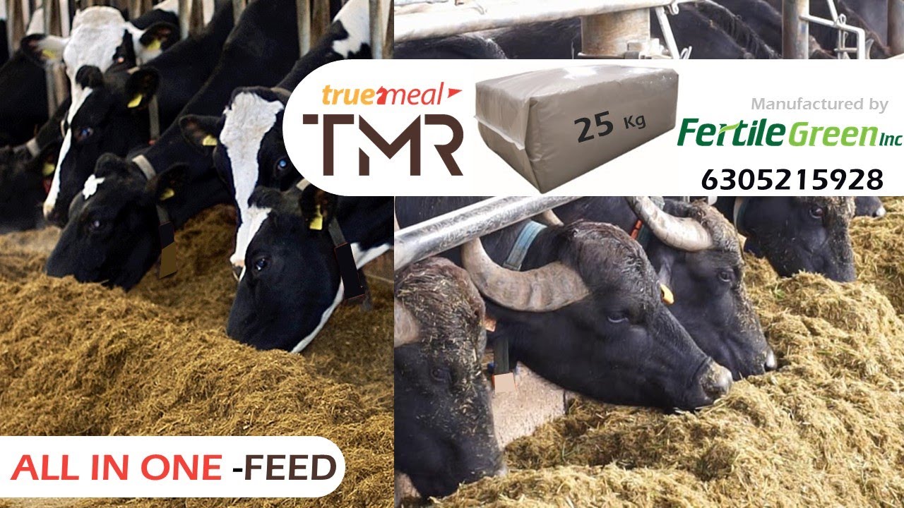 Largest TMR Company - India