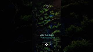 📓Quran for sleeping with English translation ❤️#shorts #quran #trending |@HujaifaIslam-o7v