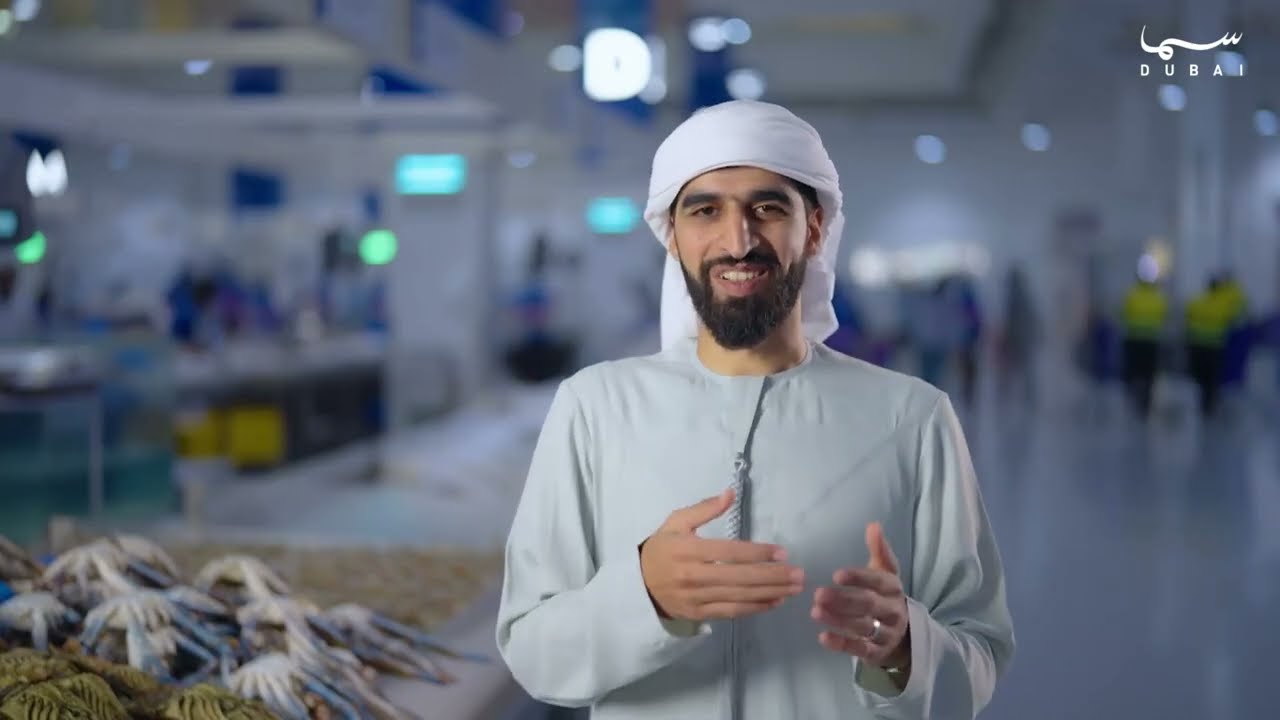 الصيرم | سمكة الهامور