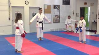 Shotokan Karate Kids Freestyle Kumite - Black Belt vs Brown Belt | IKD Winnipeg at the IDSL 2012