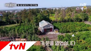 COFFEE FRIENDS 3無의 섬 제주도 귤밭에 찾아온 3無카페! 커피 프렌즈 190104 EP.1