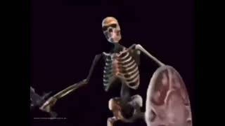 Skeleton Banging Shield Meme Template | Download Link In Comments 🔗